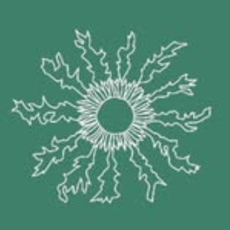 Carlina